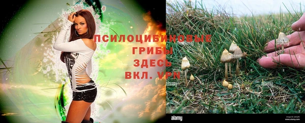 герыч Верхний Тагил