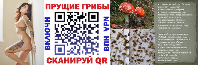 blacksprut ссылка  Искитим  Псилоцибиновые грибы прущие грибы  продажа наркотиков 